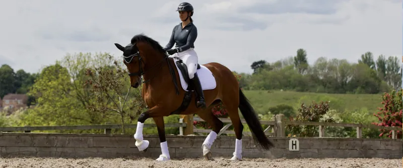 Woof Wear Dressage Saddle Cloth - White-1